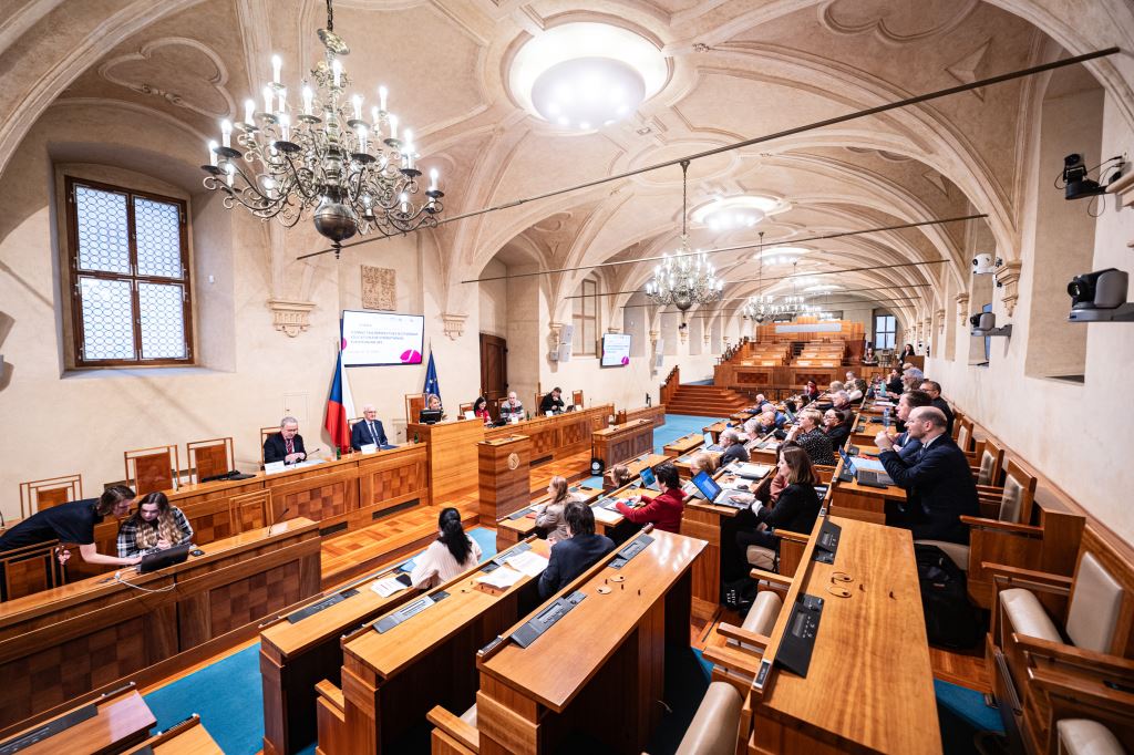 citedev-cicea-conference-prague-2024-senate (3)