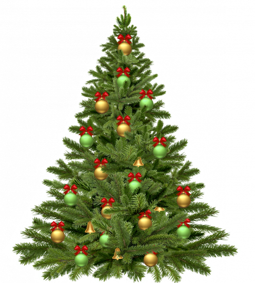 christmas tree, holidays, christmas-1808558.jpg